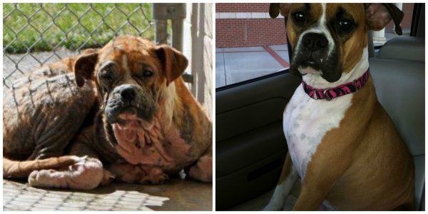 Ez az egyedüli számomra elfogadható példa. Felelős befogadás!