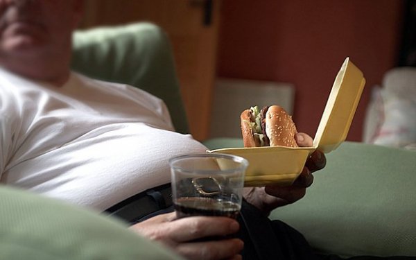 Te is láttad már Őt?  Fotó: http://i.telegraph.co.uk/multimedia/archive/03083/couch-potato_3083078b.jpg